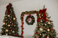 christmas8
